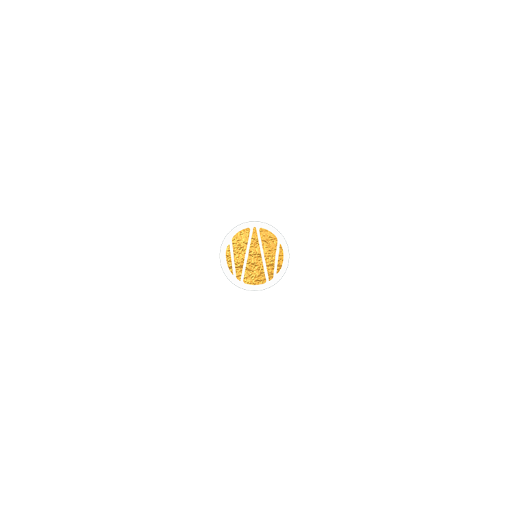Besondere Stärken - GW Sonnensystem nur Logo